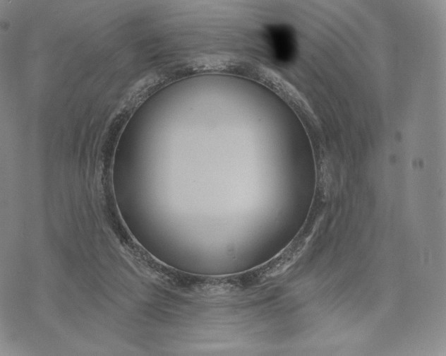 X0000072490209200608041424