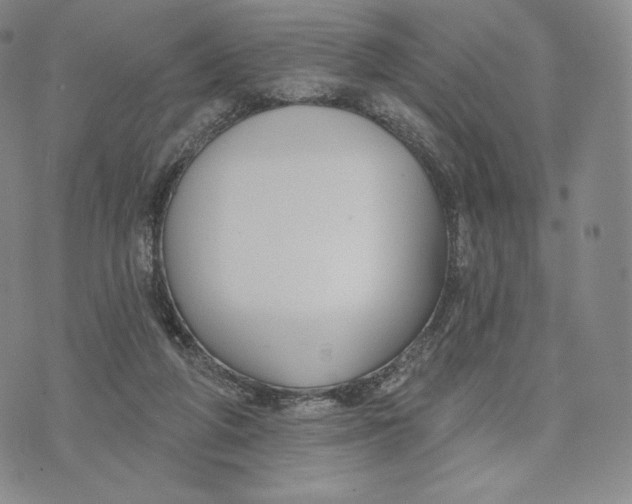 X0000072490210200608041424