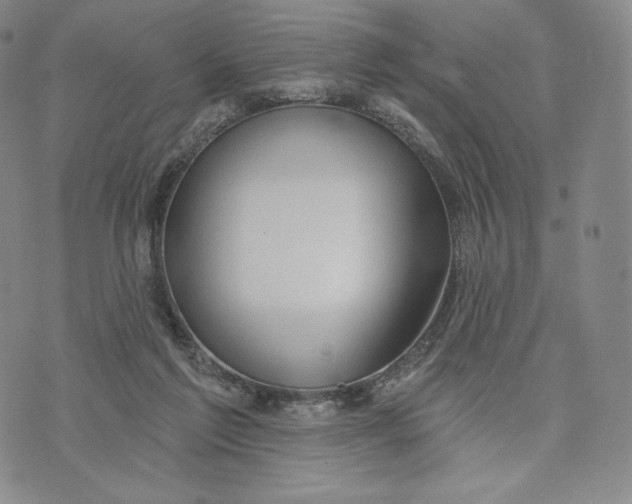 X0000072490213200608041424