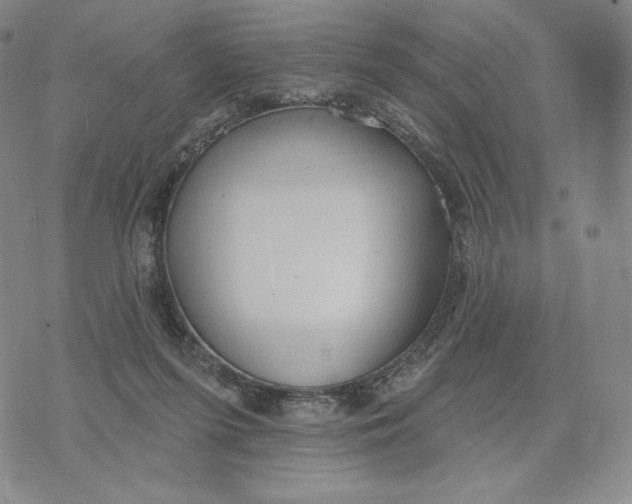 X0000072490215200608041424