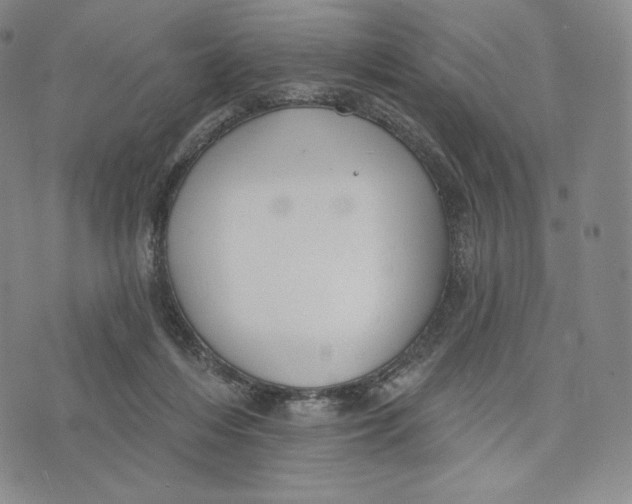 X0000072490216200608041424