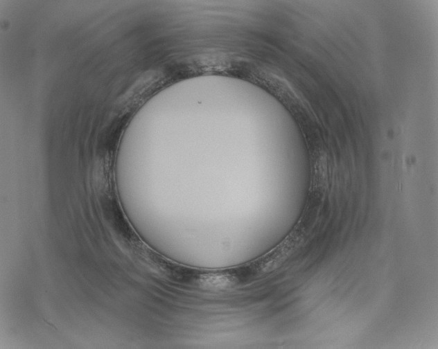 X0000072490218200608041424