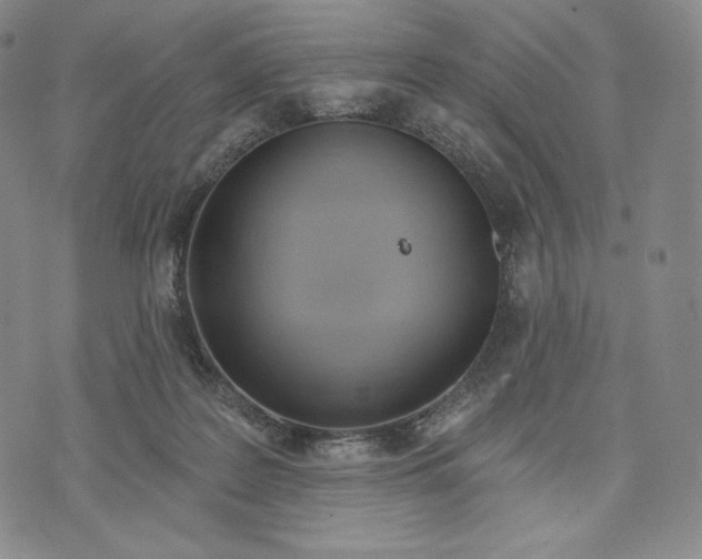 X0000072490219200608041424