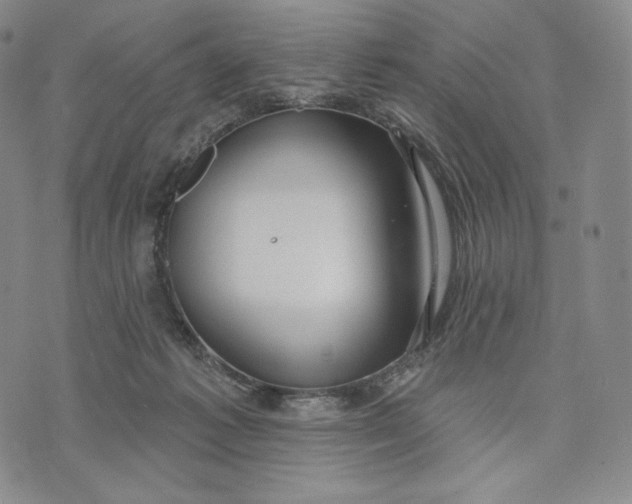 X0000072490221200608041424