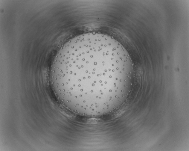 X0000072490222200608041424