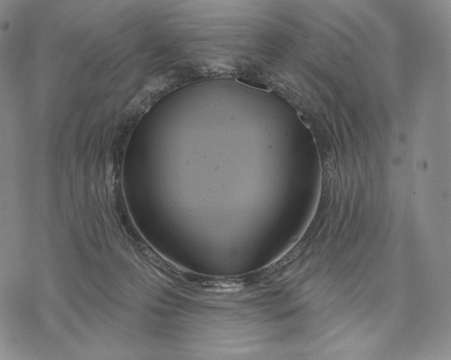 X0000072490223200608041424