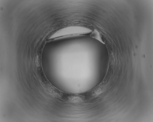 X0000072490224200608041424