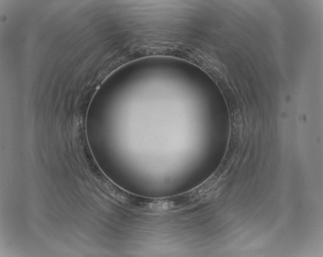 X0000072490225200608041424