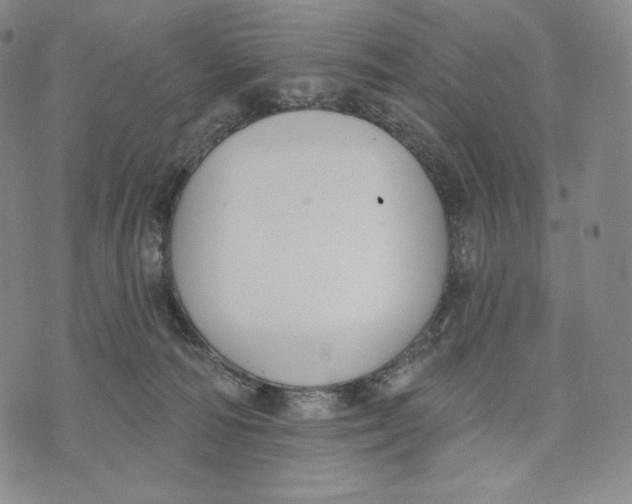 X0000072490226200608041424