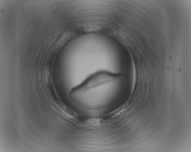 X0000072490227200608041424