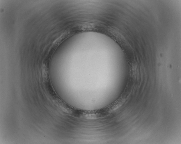 X0000072490228200608041424