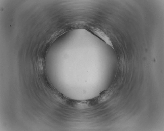 X0000072490232200608041424