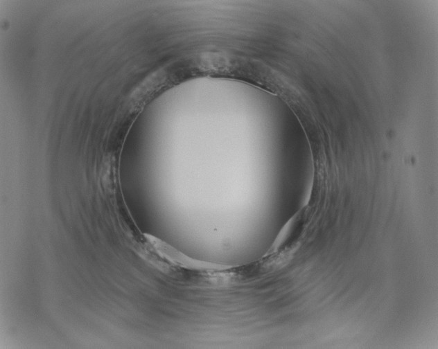 X0000072490233200608041424