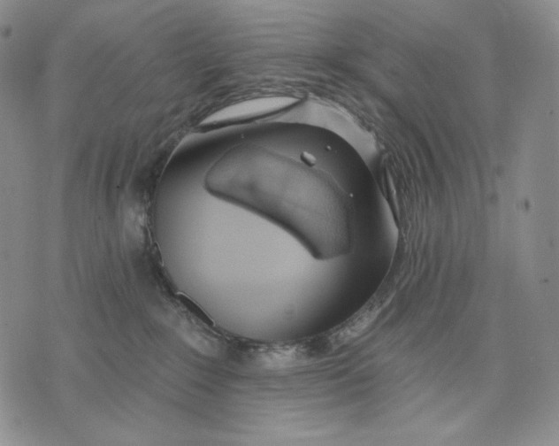 X0000072490235200608041424