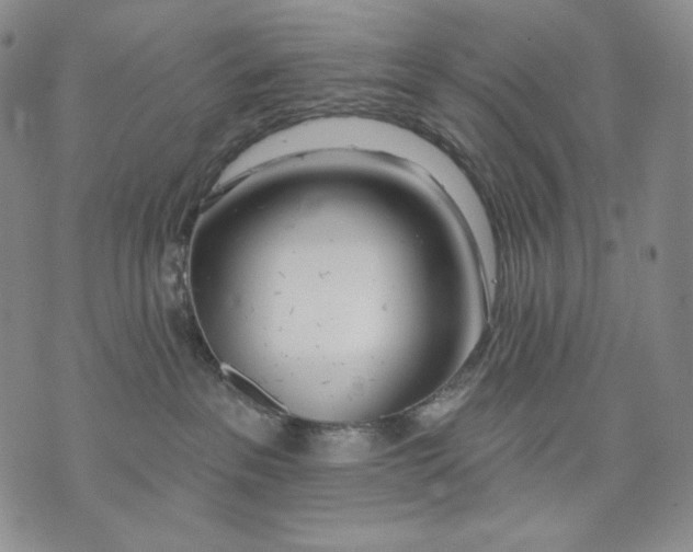 X0000072490237200608041424