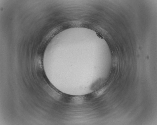 X0000072490238200608041424