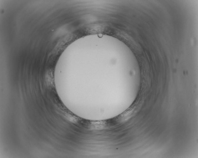 X0000072490240200608041424