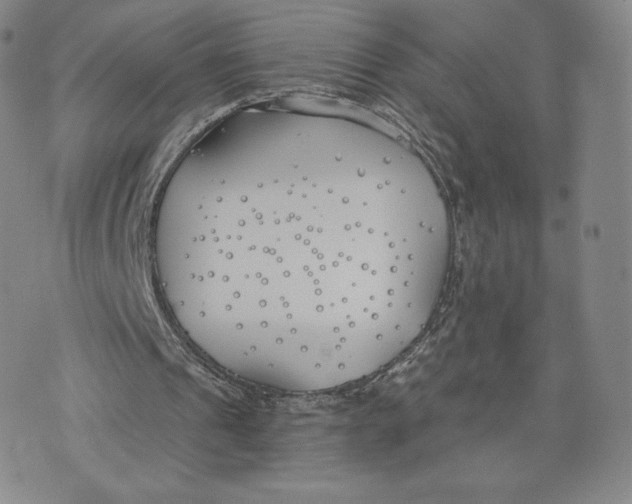 X0000072490241200608041423