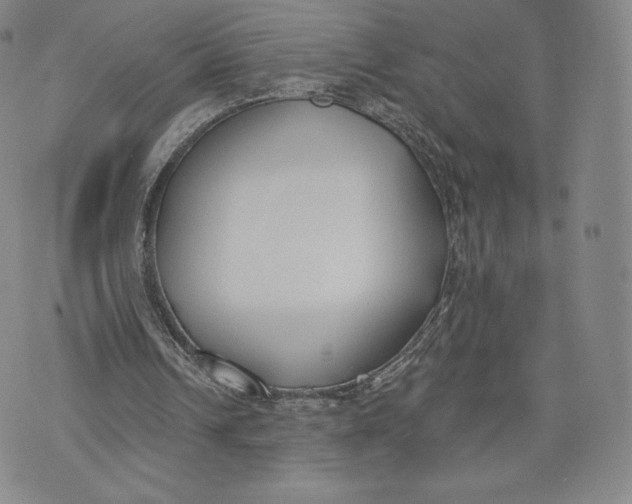 X0000072490242200608041423