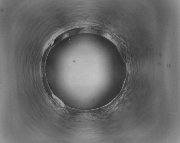 X0000072490244200608041423