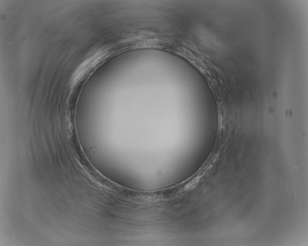 X0000072490245200608041423