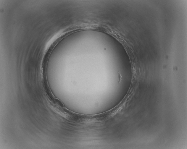 X0000072490246200608041423