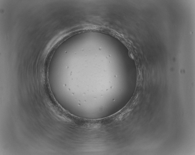 X0000072490247200608041423