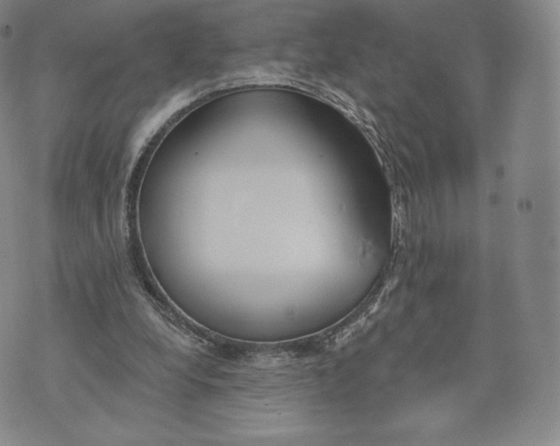 X0000072490248200608041423