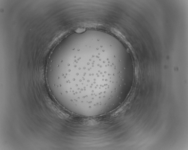 X0000072490249200608041423