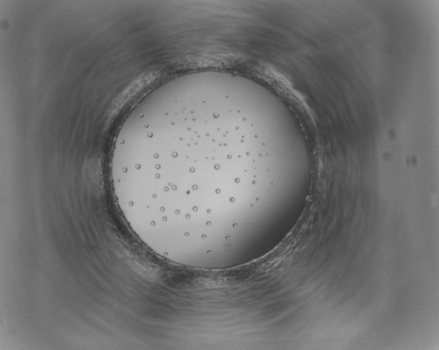 X0000072490250200608041423