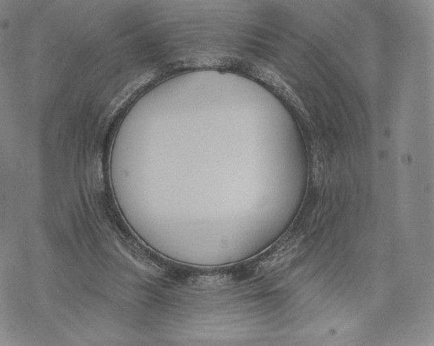 X0000072490251200608041423