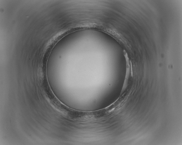 X0000072490252200608041423