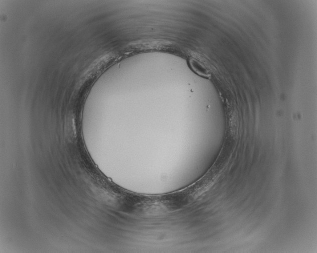 X0000072490254200608041423