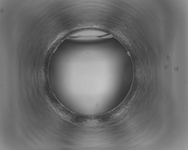 X0000072490256200608041423