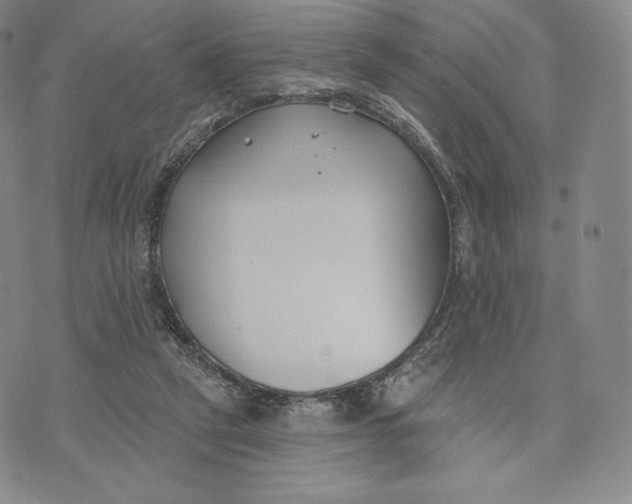 X0000072490257200608041423