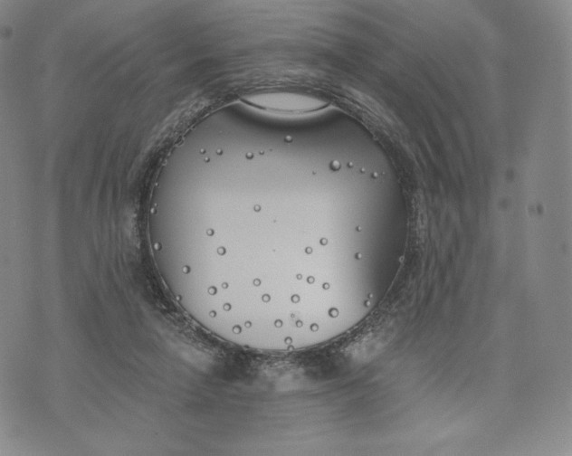 X0000072490258200608041423