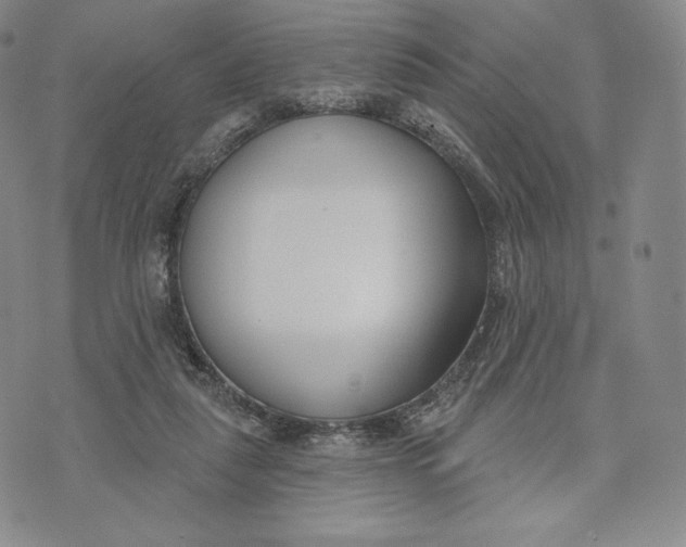 X0000072490259200608041423