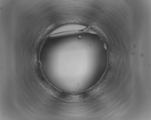 X0000072490260200608041423