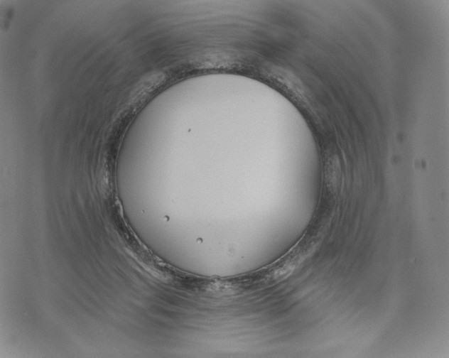 X0000072490261200608041423