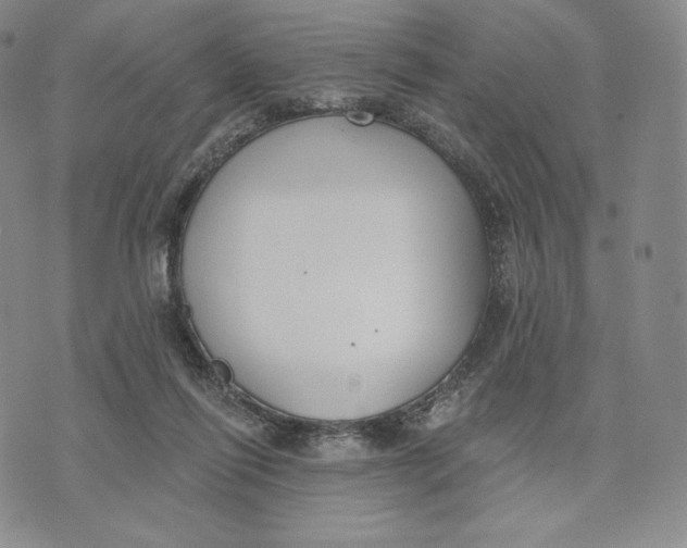 X0000072490262200608041423