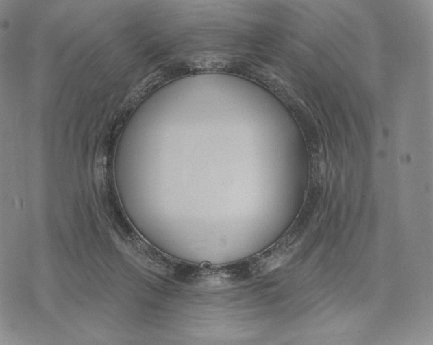 X0000072490263200608041423