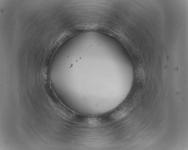 X0000072490264200608041423