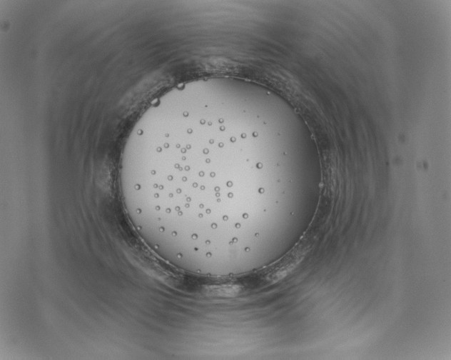 X0000072490266200608041423