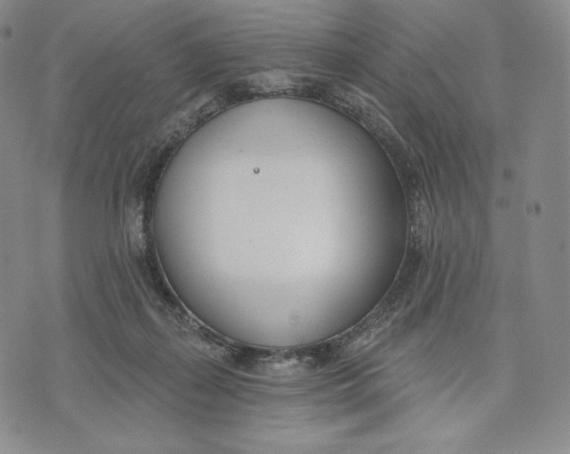 X0000072490267200608041423