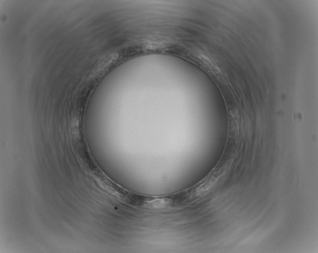 X0000072490269200608041423