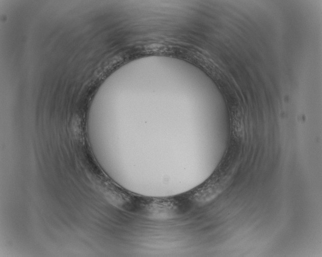 X0000072490270200608041423