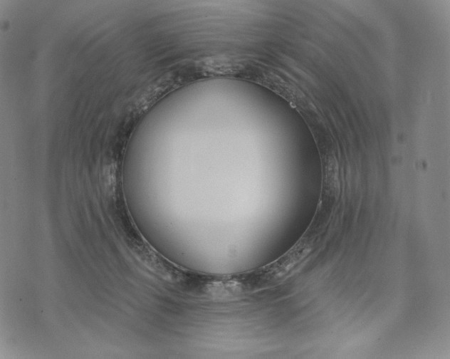 X0000072490271200608041423