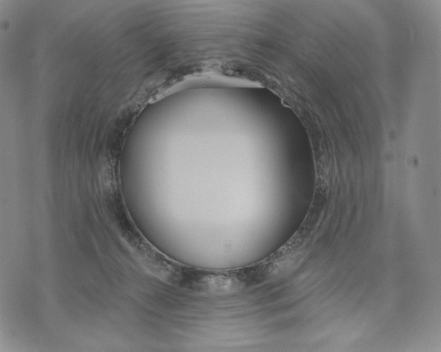 X0000072490272200608041423