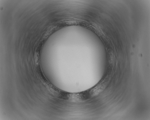 X0000072490273200608041423