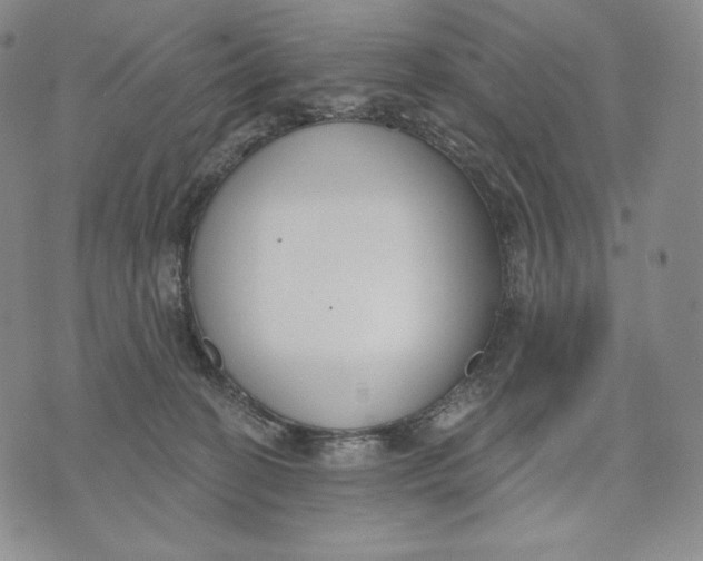 X0000072490274200608041423